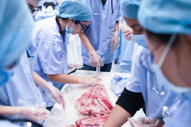 Students at Operating Theatre Live.