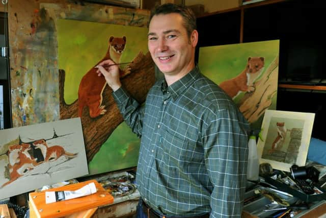 Robert Fuller working on painting  Stoats and Weasels  for his new exhibition  'Wild About Stoats & Weasels An artist's perspective' at  the  Robert Fuller Gallery at Thixendale.