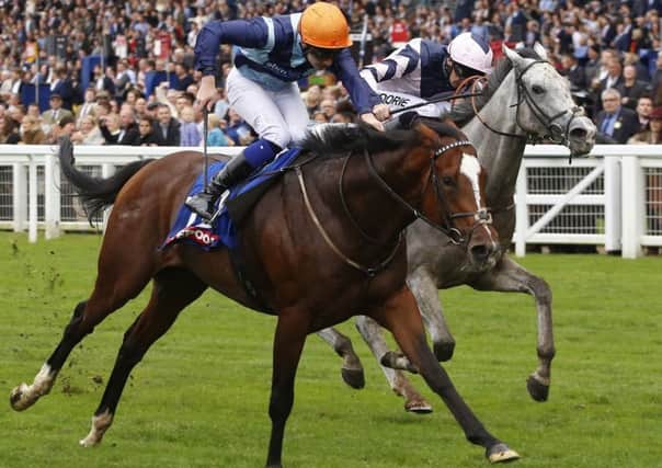 Accidental Agent and Charles Bishop will attempt to defend Royal Ascot's Queen Anne Stakes next week.