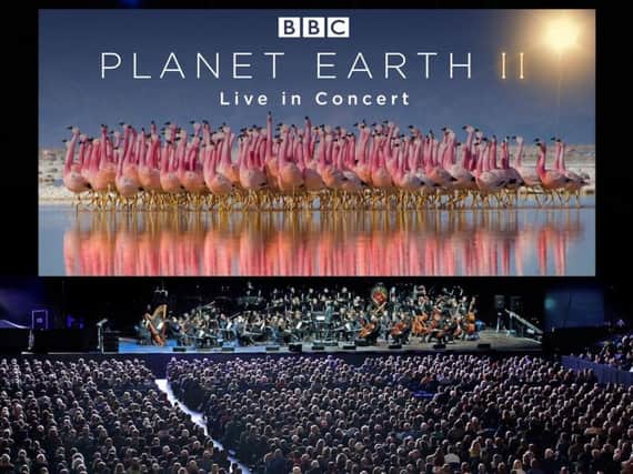 Planet Earth II Live In Concert