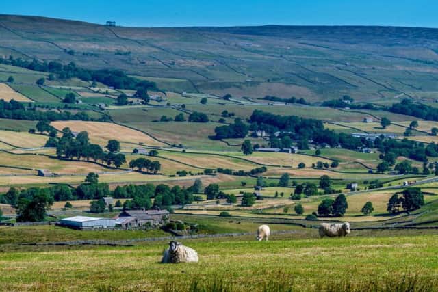 A view along north side of Wensleydale near Hawes, in the heart of the Yorkshire Dales. Picture by James Hardisty.