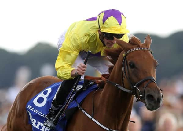 Yorkshire Oaks heroine Sea Of Class: Lines up at Royal Ascot today under James Doyle.