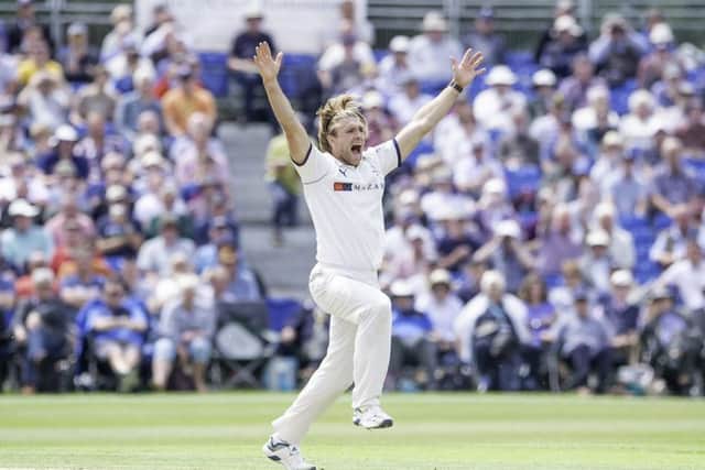 Yorkshire's David Willey appeals.