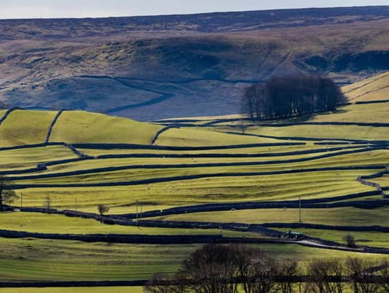 A significant number of agri-environment scheme agreement holders have not received full payment for work they have undertaken. Picture by James Hardisty.