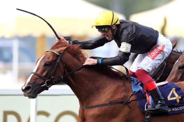 Frankie Dettori roars with deligth after Stradivarius won the Ascot Gold Cup.