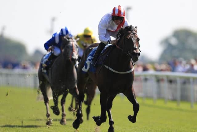 Invincible Army and PJ McDonald - pictured winning the Duke of York Stakes - are among the favourites for today's Diamond Jubilee Stakes at Royal Ascot.