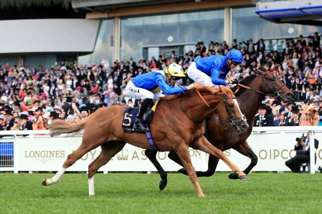 Going close: Danny Tudhope and Dream Of Dreams (near side) just failed to catch Blue Point in the Diamond Jubilee Stakes.