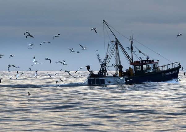 Fishing leaders are concerned about the impact of a no-deal Brexit on the UK's fleets.
