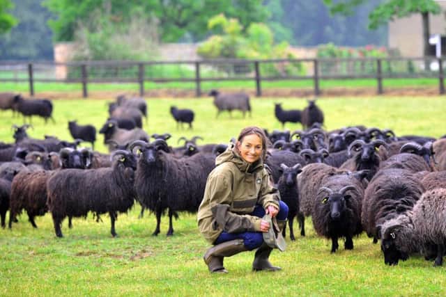 Jo Ropner, the recently appointed Lord Lieutenant for North Yorkshire at the Camp Hill Estate near Bedale, pictured with her flock of Hebridean sheep. Picture by Gary Longbottom.