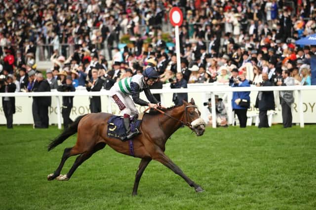 Dashing Willoughby - pictured winning at Royal Ascot under Oisin Murphy - could reappear at Goodwood.