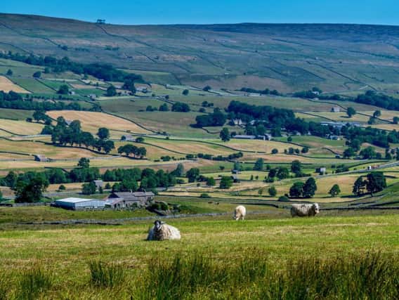 Four barn conversion proposals in the Upper Dales have been rejected by the Yorkshire Dales National Park Authority since December. Picture by James Hardisty.