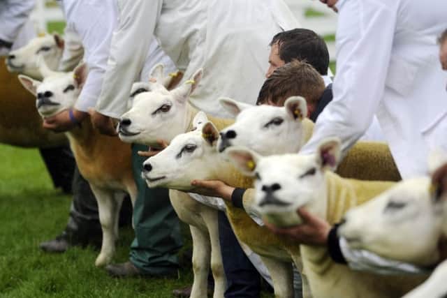 The 161st Great Yorkshire Show comes at a critical time for farming due to Brexit uncertainty.