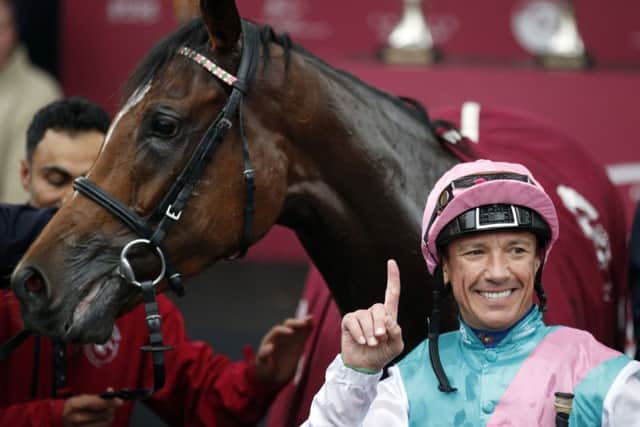 Arc heroine Enable, the mount of Frankie dettori, is due to reappear this weekend - ground permitting.