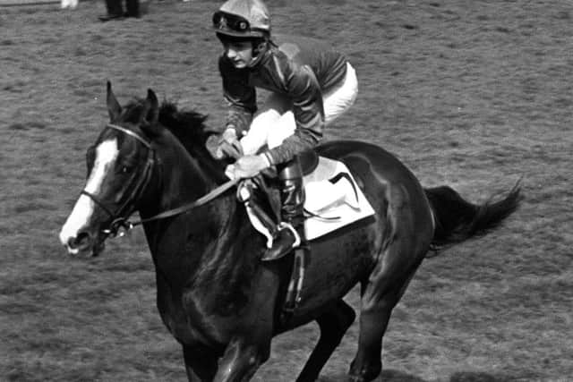 Labour claim there is more chance of Health Secretary Matt Hancock winning a race on the legendary horse Shergar (pictured) than the social care Green Paper being published.