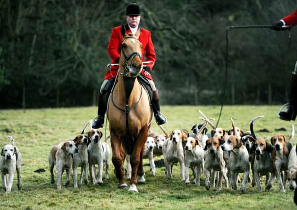 Should the hunting ban be revoked?