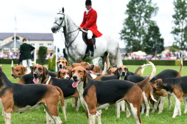 The parade of the hounds at the 160th Great Yorkshire Show. Picture by Jonathan Gawthorpe.