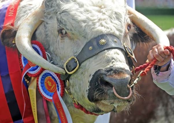 The 2019 Great Yorkshire Show begins today amid renewed uncertainty over the future of farming.
