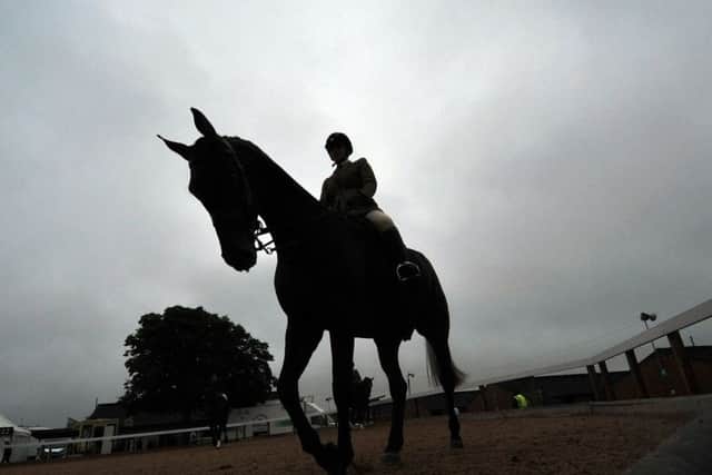 Equestrian riders warm up on day one of the Great Yorkshire Show.