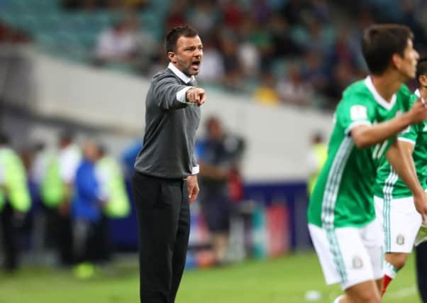 Anthony Hudson, gives instructions as head coach of New Zealand against Mexico  in the FIFA Confederations Cup clash in Sochi, Russia, in June 2017. Picture: Dean Mouhtaropoulos/Getty Images