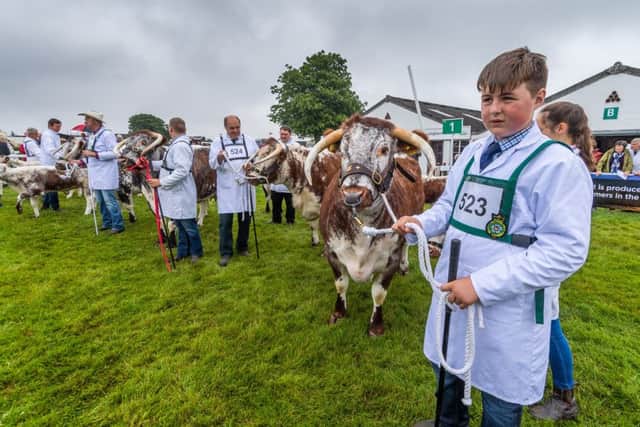 The 161st Great Yorkshire Show.