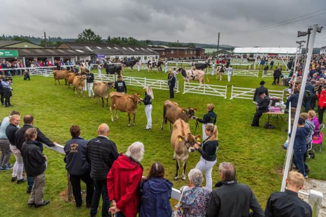 The 161st Great Yorkshire Show.