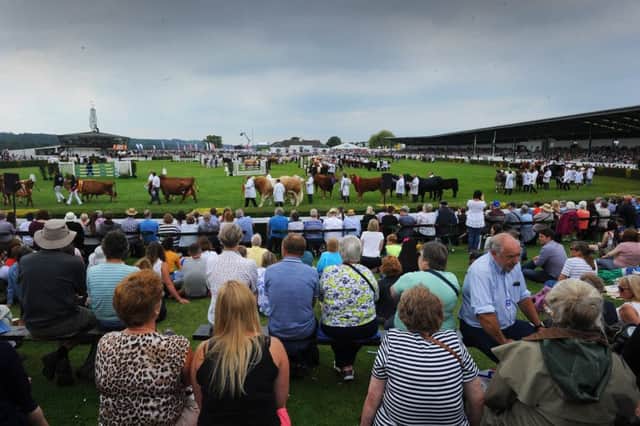 The second day of the Great Yorkshire Show