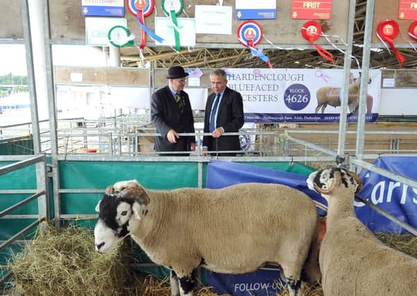The Great Yorkshire Show has now been documented on television.