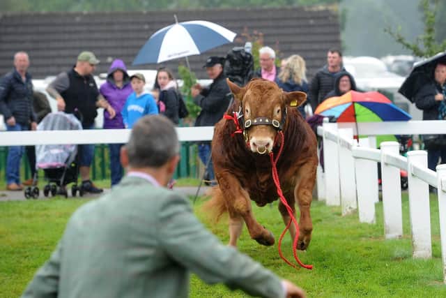 The incident at the Great Yorkshire Show