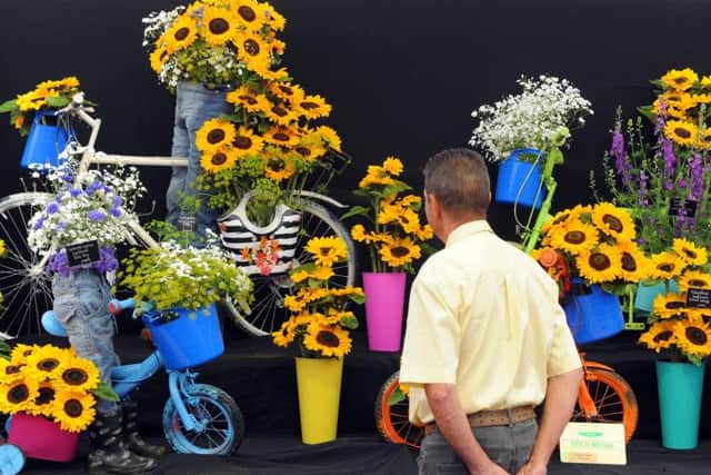 A visitor looks at sunflowers displayed in the Garden Show at the Great Yorkshire Show. Picture by Tony Johnson.