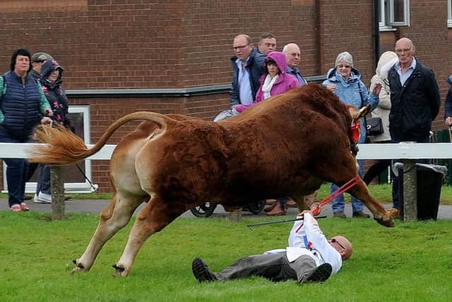 The incident which happened at the Great Yorkshire Show