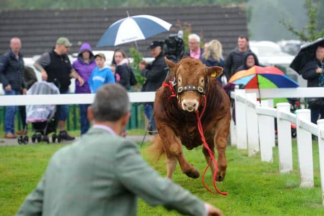 The incident which happened at the Great Yorkshire Show