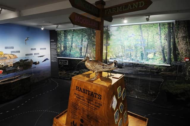 Inside the new national park visitor experience, at The Moors National Park Centre at Danby.