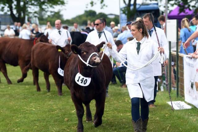 The show is a celebration of the very best in British farming and food