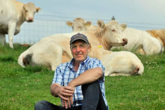 Chris Jeffrey from Spring View Farm Thornton Hill , with some of his rare breed Whitebred Shorthorn cattle.