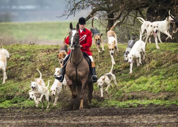 The Countryside Alliance says a political desire to ban hunting is not matched by public support.