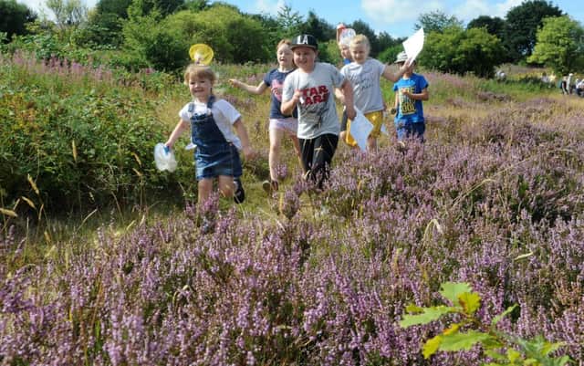 Children run through the meadow looking for butterflies