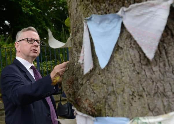 Michael Gove during his visit to Sheffield last year to see the tree-felling controversy for himself.