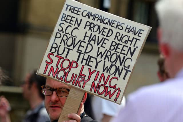 Tree campaigners lobby Sheffield city councillors.