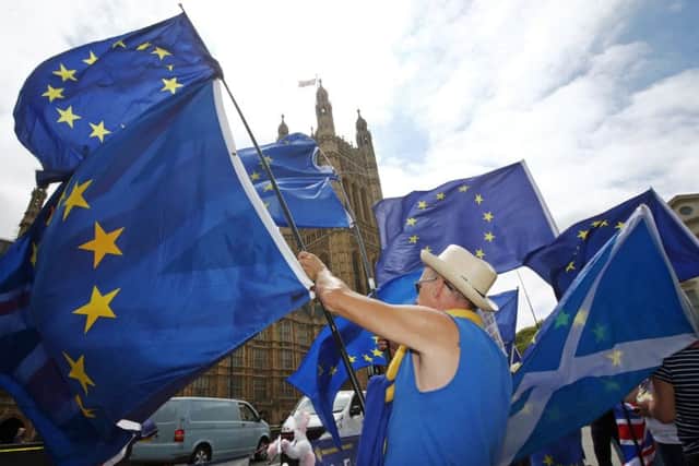 Anti-Brexit supporters gather outside the Houses of Parliament.