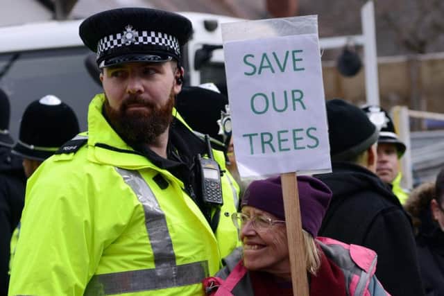 Tree protesters in Sheffield have argued many fellings were unnecessary.