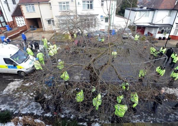 Sheffield's tree-felling scandal earned national notoriety.