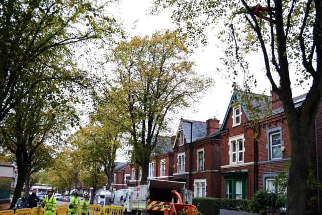 Tree-felling work in Sheffield has caused several years of controversy.