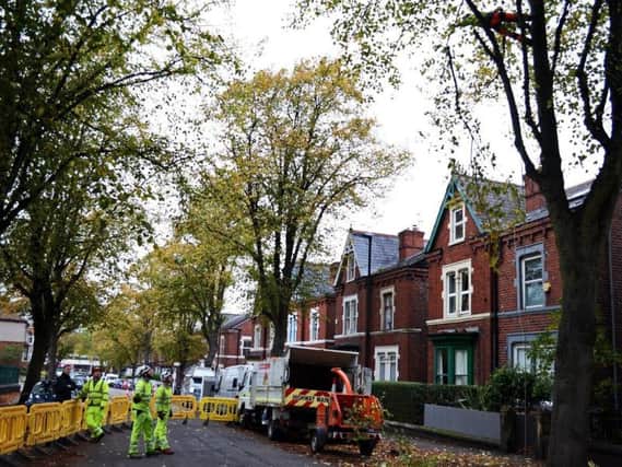 Tree-felling work in Sheffield has caused several years of controversy.