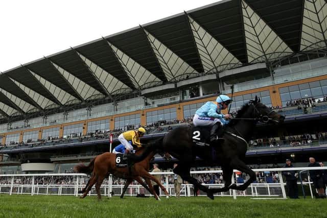 Ventura Rebel and Paul Hanagan, pictured winning at Ascot earlier this year, head to Newbury today.