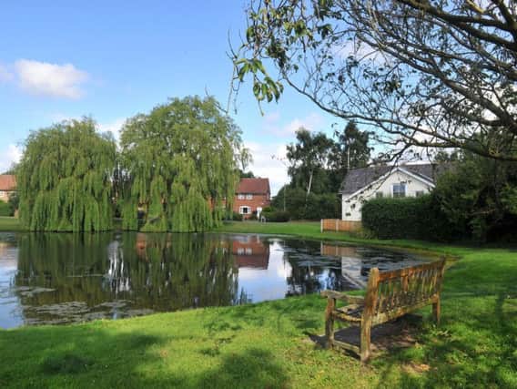 Tholthorpe village green and pond. Picture by Gary Longbottom.