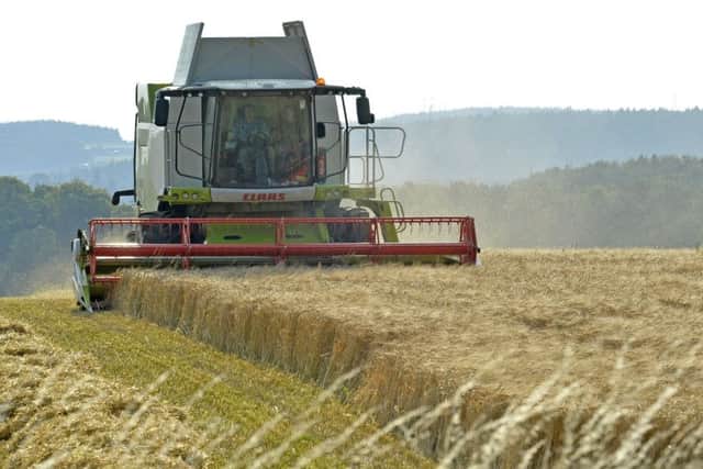 Farmers remain fearful of the no-deal Brexit advocated by Boris Johnson.
