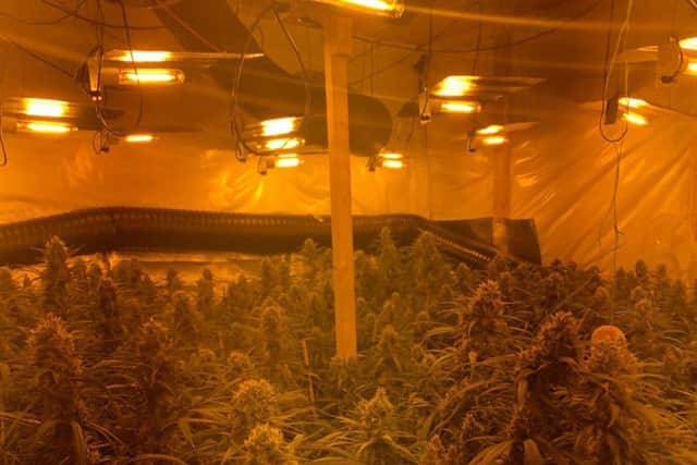 Police have seized cannabis worth one million pound from a property in East Cowick, near Snaith.