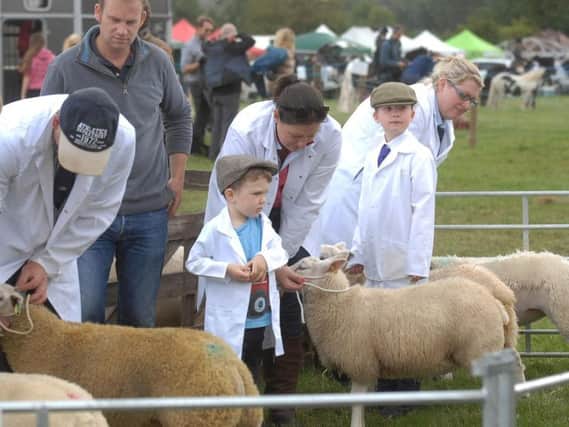 Young sheep farmers preparing for judging at Weeton Show in 2017. Picture by  Adrian Murray.