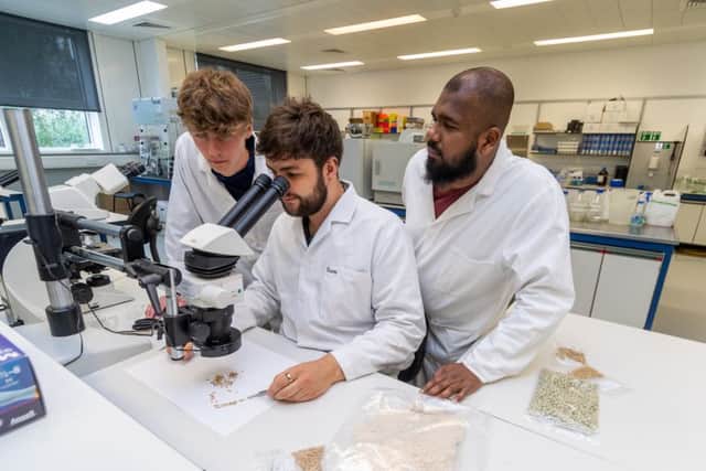 Apprentices Sam Wragg and Anujen Balachandran, working with (centre) Sam Allan, a bacteriology diagnostician, in the Seed Laboratory.