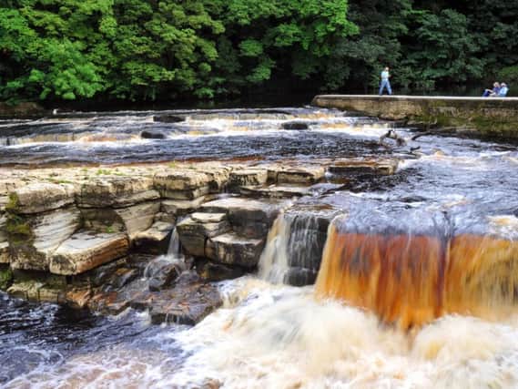 The Falls on the River Swale in Richmond, where a man hit his head while jumping in the river to cool off on Britain's hottest day on record